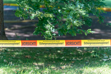Oak Processionary Moth Warning Tap. A warning tape indicates the danger posed by oak processionary...