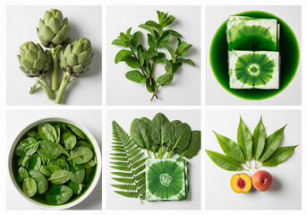 Créer le Vert : L'Art de la Teinture Naturelle