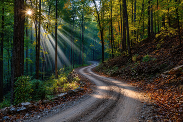 Fototapeta premium Winding trail meandering through a sunlit forest setting