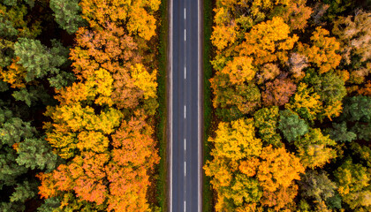 Aerial view of a road through autumn trees with vibrant foliage.