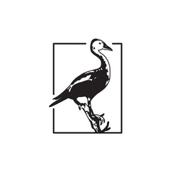 vintage whistling duck and north star logo design