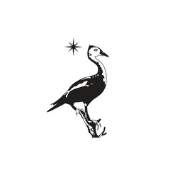 vintage whistling duck and north star logo design