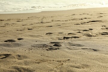 Sandy beach with footprints near sea, closeup
