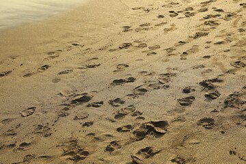 Many different footprints on sand as background