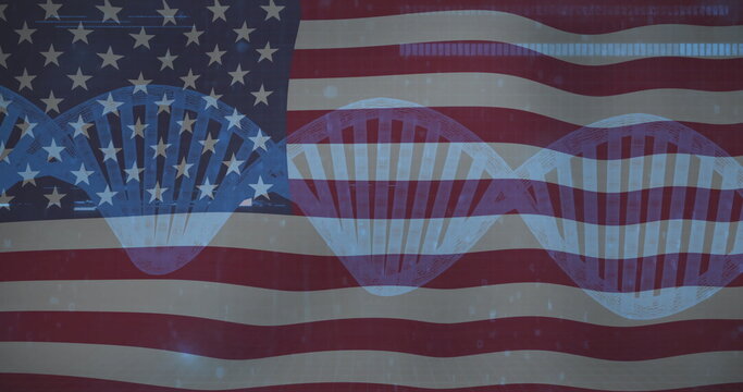 Naklejki Showing American flag with blue DNA helix overlaying in digital scene, binary code, light flares