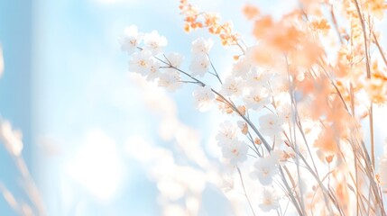 Delicate flowers in soft pastel colors against a serene blue background, evoking a sense of calm and beauty.