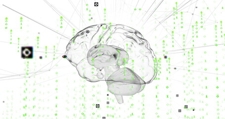 Floating translucent brain emitting green binary digits in digital space, with gray nodes and lines