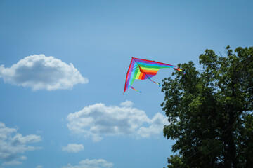 Colorful kite flying in blue sky, low angle view. Space for text