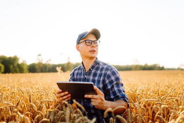 A young man farmer with a digital tablet touches golden wheat ears in a sunset field. Agronomist in...