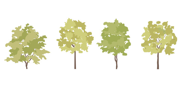 Spring trees in elevation and plan view for use in architectural drawings	