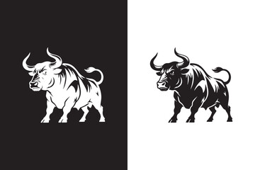 black and white bull