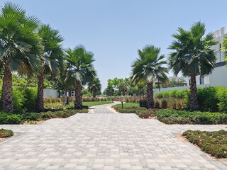 Walking Path Between Green Lush Landscaping Area With Carpet Grass Trees Like Palm Or Washingtonia. Houses Or Villa's Also Beside Green Land Backyard of Villa, Small Interlock Path Between Landscaping