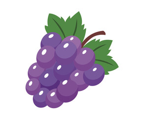 Grapes vector illustration. flat design