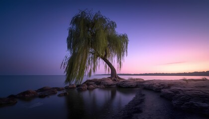 Solitary tree at twilight by serene lakeside with gentle ripples