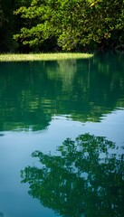 Serene green lake with tree reflections on a calm summer day