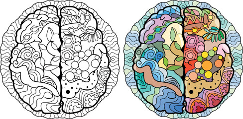 Brain image in zentangle style on mandala for coloring. Color and outline set