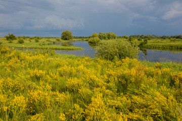 Naklejka premium landscape with river and blue sky