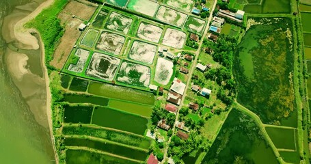 Tropical Coast Agro-Aquaculture Drone Landscape - Powered by Adobe