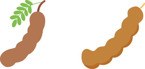 Tamarind Vector set Tropical Superfood Vector Art.
