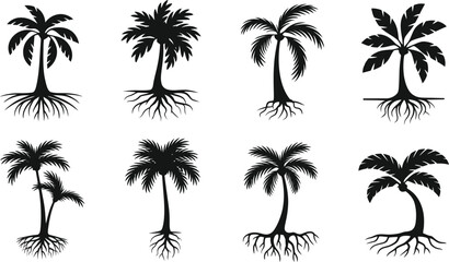 Obraz premium Palm Tree with Roots Silhouette Vector Set – Tropical Nature Symbol Design Collection