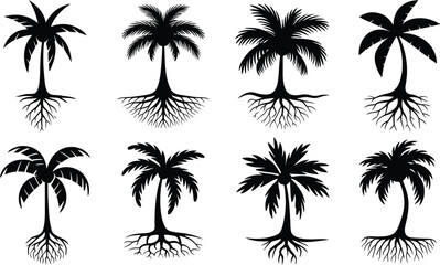 Palm Tree with Roots Silhouette Vector Set – Tropical Nature Symbol Design Collection