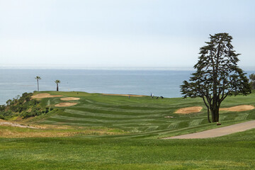 Oceanfront Golf Course with Rolling Greens and Sand Traps
