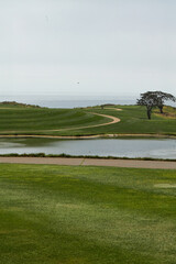 Oceanfront Golf Course with Rolling Greens and Sand Traps
