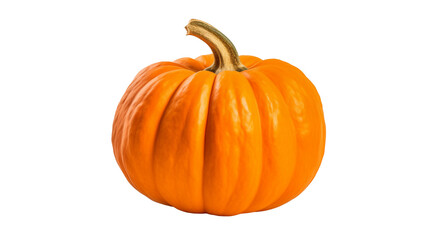 Fresh Orange Pumpkin Isolated on White, Classic Autumn Harvest Pumpkin, Ripe Halloween Pumpkin Close-Up, Pumpkin, Orange pumpkin, Autumn squash, Halloween pumpkin, Fall gourd