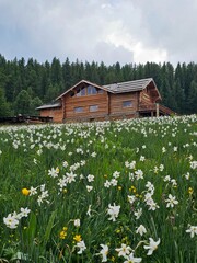 Paysage des Alpes fran&ccedil;aises
