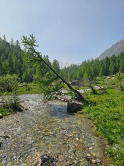 Paysage des Alpes fran&ccedil;aises