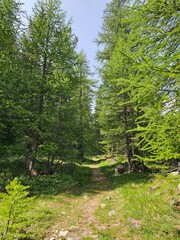 Paysage des Alpes fran&ccedil;aises