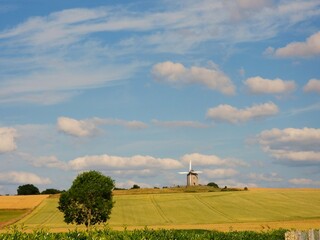 Moulin à vent de Moidrey (Manche)