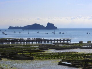 Cancale (Ille et Villaine,Bretagne.