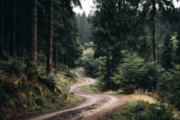 Fototapeta premium Winding dirt road through a dense dark evergreen forest on a cloudy day