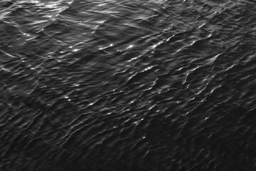 Obraz premium Camargue