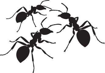 Ants Vector Illustration | Insect Colony Graphic | Detailed Ant Icon Set | Crawling Ants Silhouette Design | Nature Insects Vector Art | Ant Trail Clipart for Science, Education, and Kids Projects