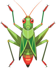 Locust white background   isolated on white