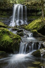 Fototapeta premium Mossy Waterfall in Forest Stream