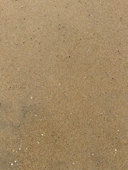 Beach wave close up from top view