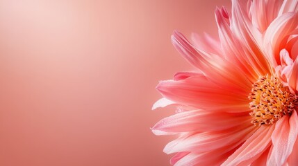 A breathtaking close-up of a vibrant pink flower, highlighting its delicate petals against a soft backdrop, symbolizing beauty, freshness, and the simple joys of nature.