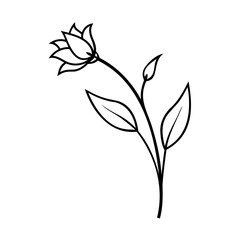 Black Line Art Single Flower Stem Bud Leaves black and white