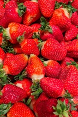 Close-Up of Ripe and Partially Ripe Strawberries with Leaves