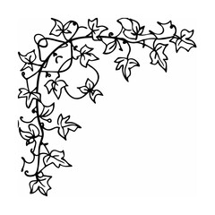 Fototapeta premium Black and White Ivy Vine Corner Design Element leaves