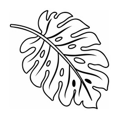 Black and White Line Drawing of a Monstera Leaf plant