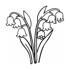 Lily of the Valley Flowers Line Art Black and White Illustration
