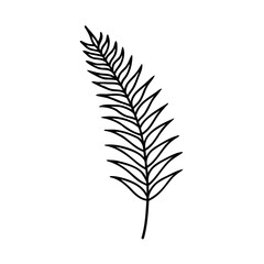 Black and White Line Drawing of a Single Palm Leaf