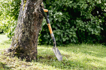 Used Garden Shovel Leaning Against Tree in Sunny Backyard after Work