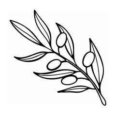 Black and White Olive Branch Line Drawing Illustration