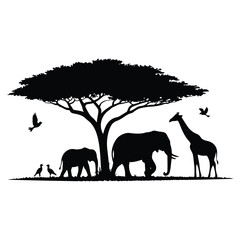African Savanna Silhouette Black and White Elephants Giraffe Birds Acacia Tree