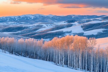 In the winter sunset, birch trees and snow-covered hills create an enchanting landscape.